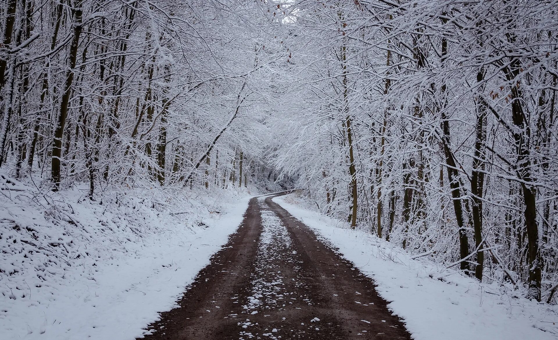 Дорога без снега. Зимняя дорога. Зимняя дорога в лесу. Зимняя Лесная дорога. Заснеженная дорога в лесу.