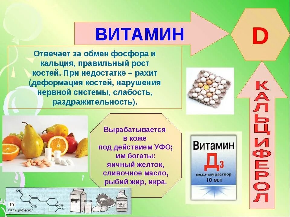 В1 в2 в12 е