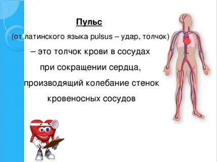 Почувствовала толчки