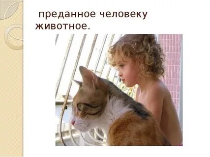 Верные человеку животные