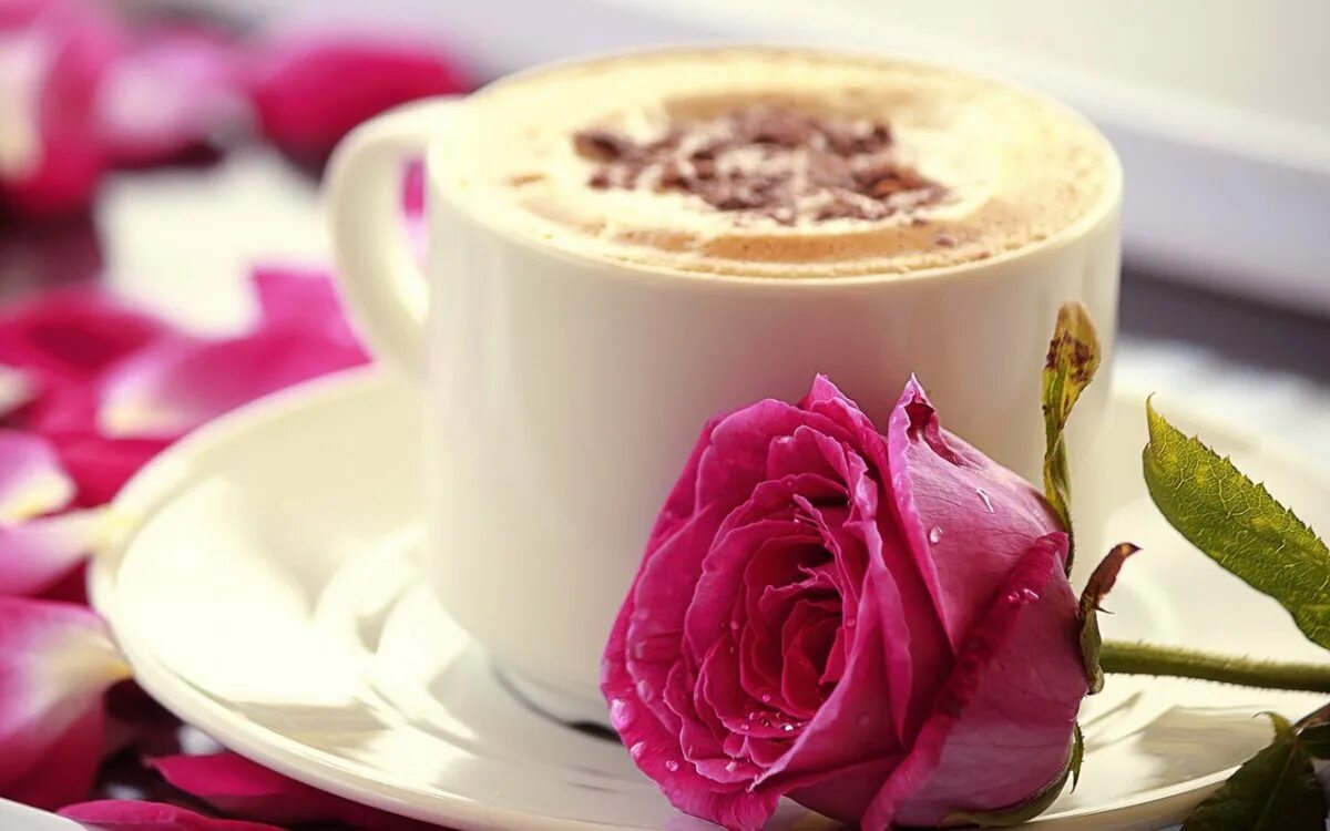 Доброе утро любимая розы. Пожелания доброго утра. Утренние цветы. Красивые пожелания с добрым утром. С добрым утром картинки красивые.