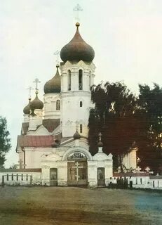 Старинный бор