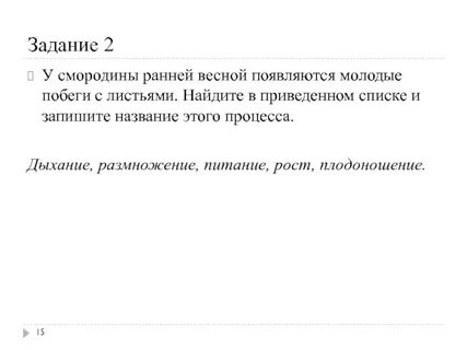 Процесс смородины ранней весной