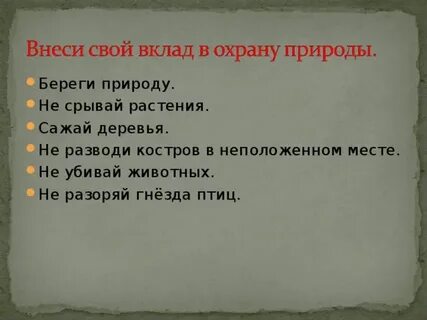 Каждый вносит свой вклад
