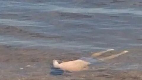 Нашли человека в море