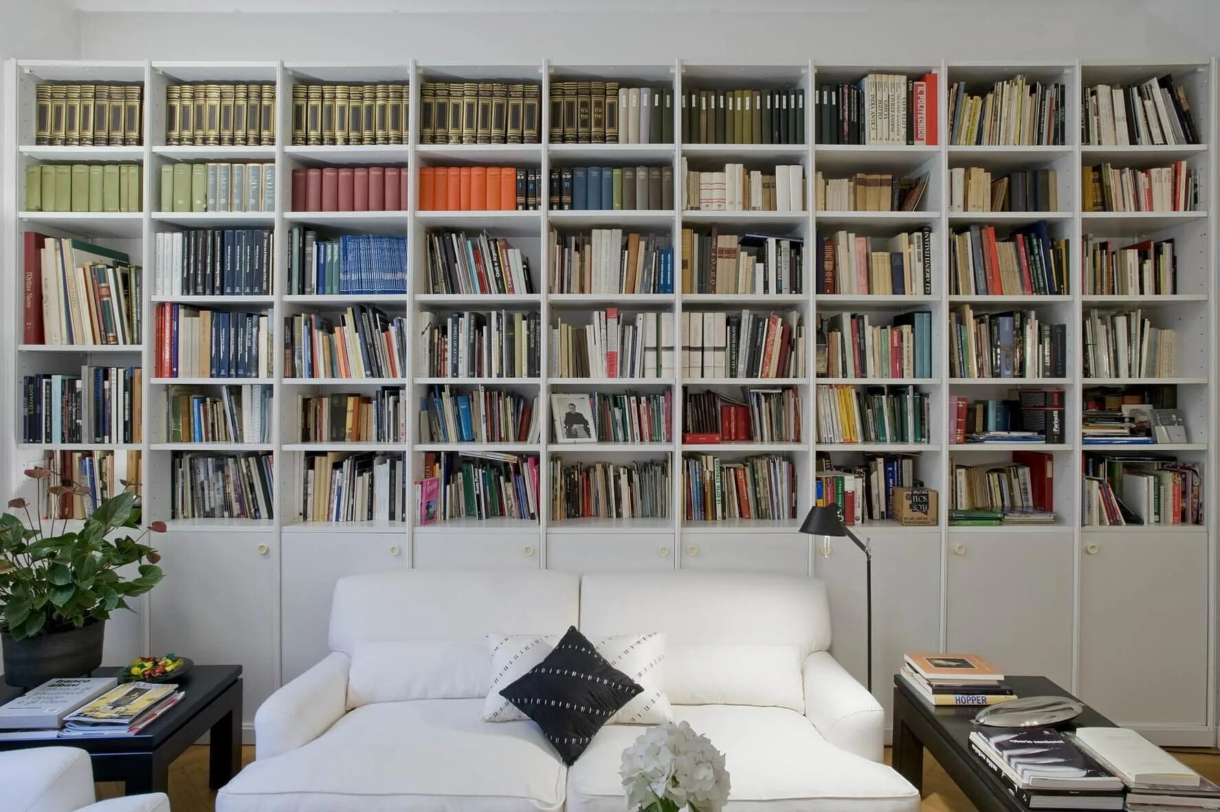 Книжный шкаф ikea билли. Книжная коллекция. Mickey cosy home library. Каталог книг домашней библиотеки. Шкаф фабиано книжный шкаф.