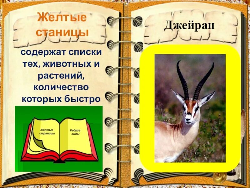 Желтая книга россии. Желтые страницы красной книги России. Красная книга России желтые страницы животные. Животное с желтой страницы красной книги. Жёлтая книга России.