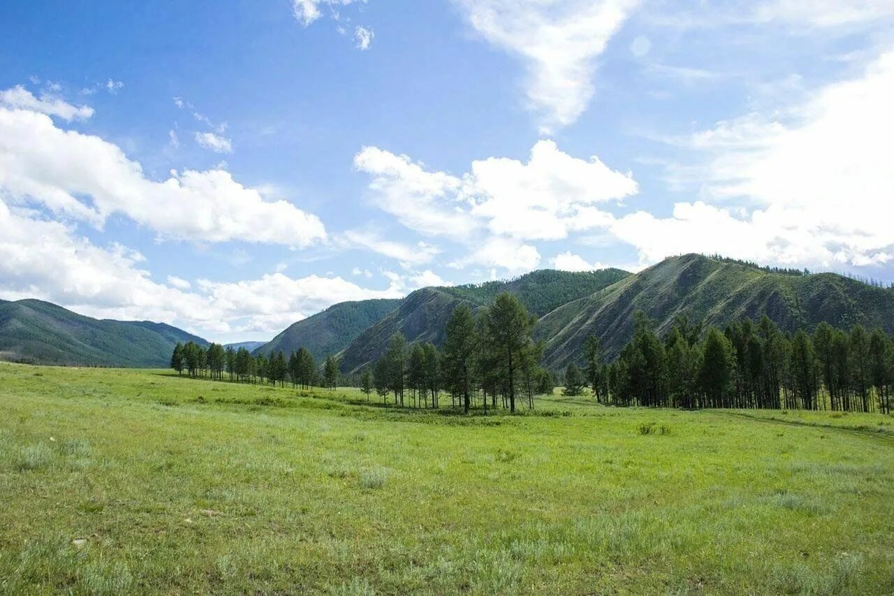 Село бай хаак. Бай-хаак республика тыва. Республика тыва тандинский район с бай-хаак. Сосновская школа тандинского кожууна. Дургенский каньон тыва.
