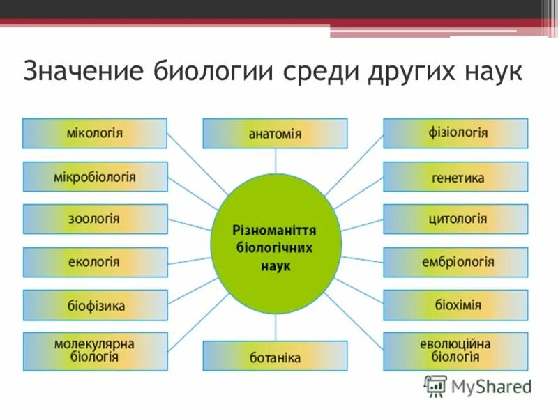 Взаимосвязь биологии с другими науками. Основные разделы биологии. Связь биологии с другими биологическими науками. Связь биологии с другими науками схема. Связь биологии с другими