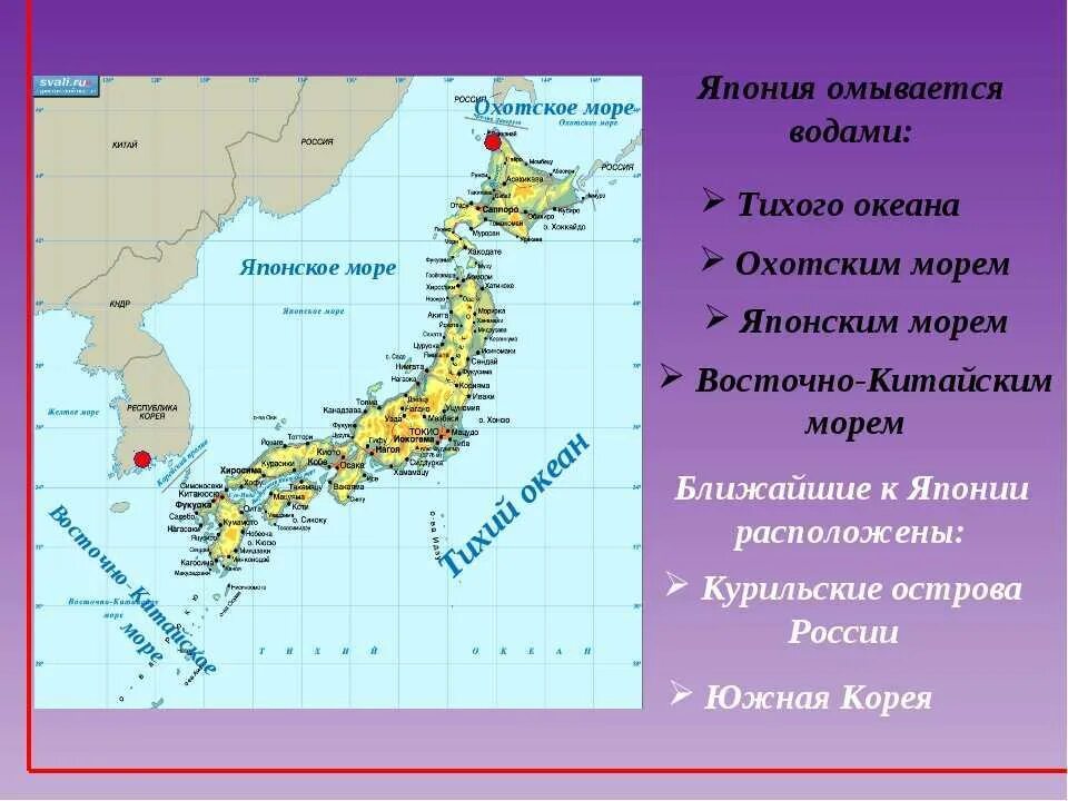 Какое омывает берега японии