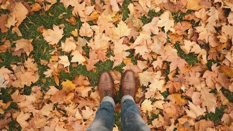 Fall am