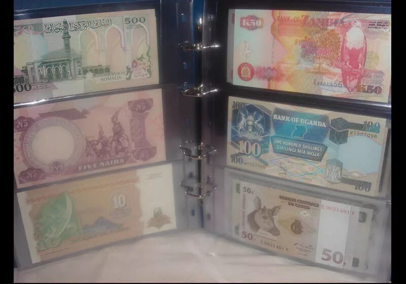 альбом для бумажных денег. альбом для коллекционирования банкнот. хранение купюр в бумажном альбоме. альбом с деньгами. альбом для бумажных купюр.