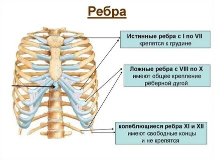 Пары противоположных ребер