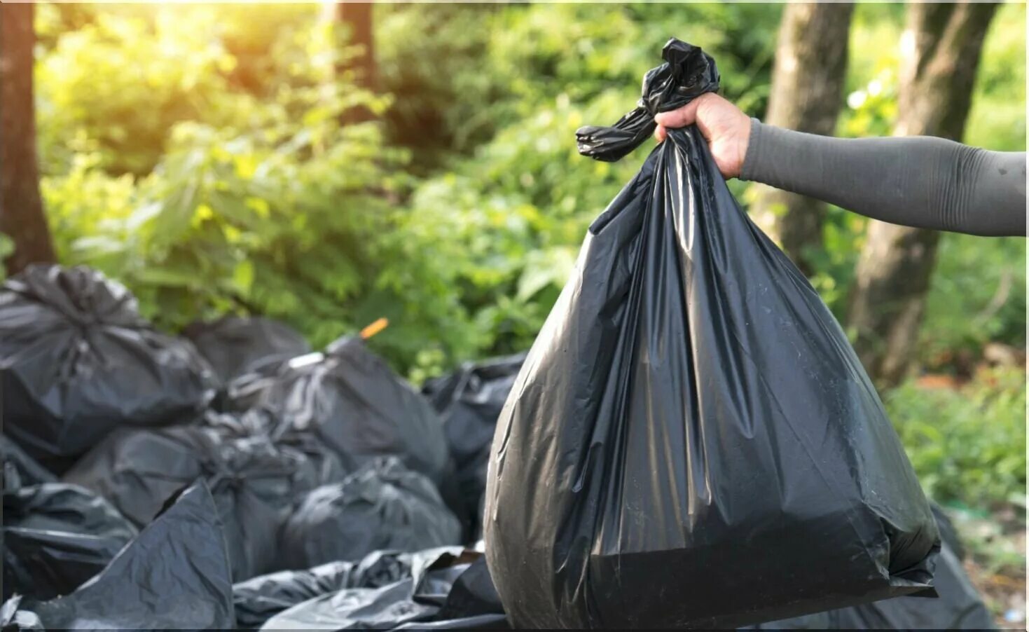 черная пятница. мем с неграми и гробом. черный вынести. черный вынести. вынос мусора.