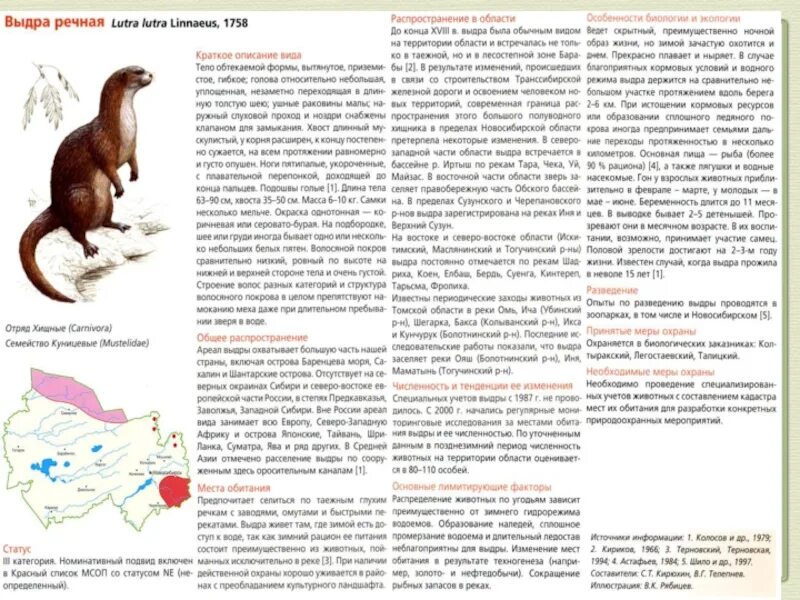 Красная книга новосибирска. Животные Новосибирской области занесенные в красную. Животные НСО занесенные в красную книгу. Животные из красной книги Новосибирской области. Растения и животные Новосибирской области занесенные в красную книгу.