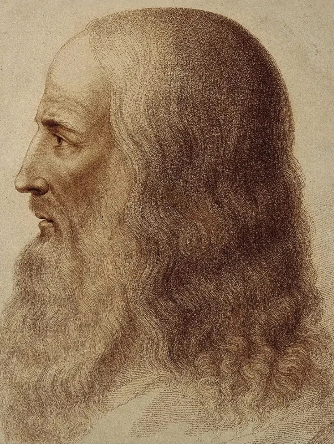Леонардо да винчи 2019. Эйдан тернер да винчи. Leonardo da vinci 1452 - 1519. Леонардо leonardo. Леонардо leonardo.