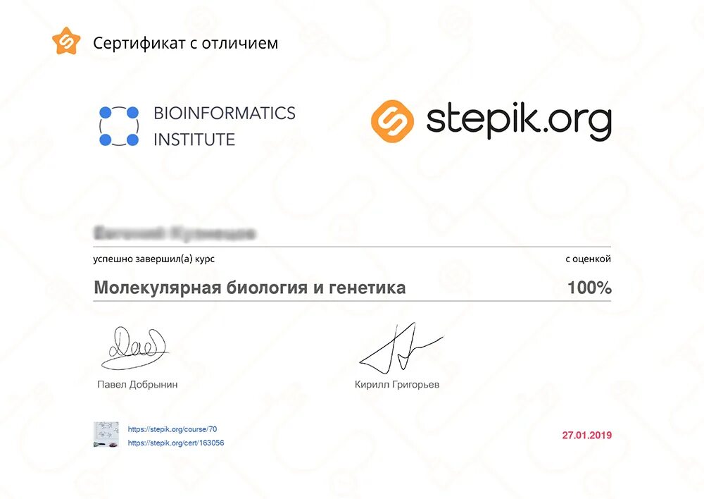 Stepik отзывы. Сертификат stepik. Степик орг. Сертификат Степик с отличием. Сертификат stepik Python.