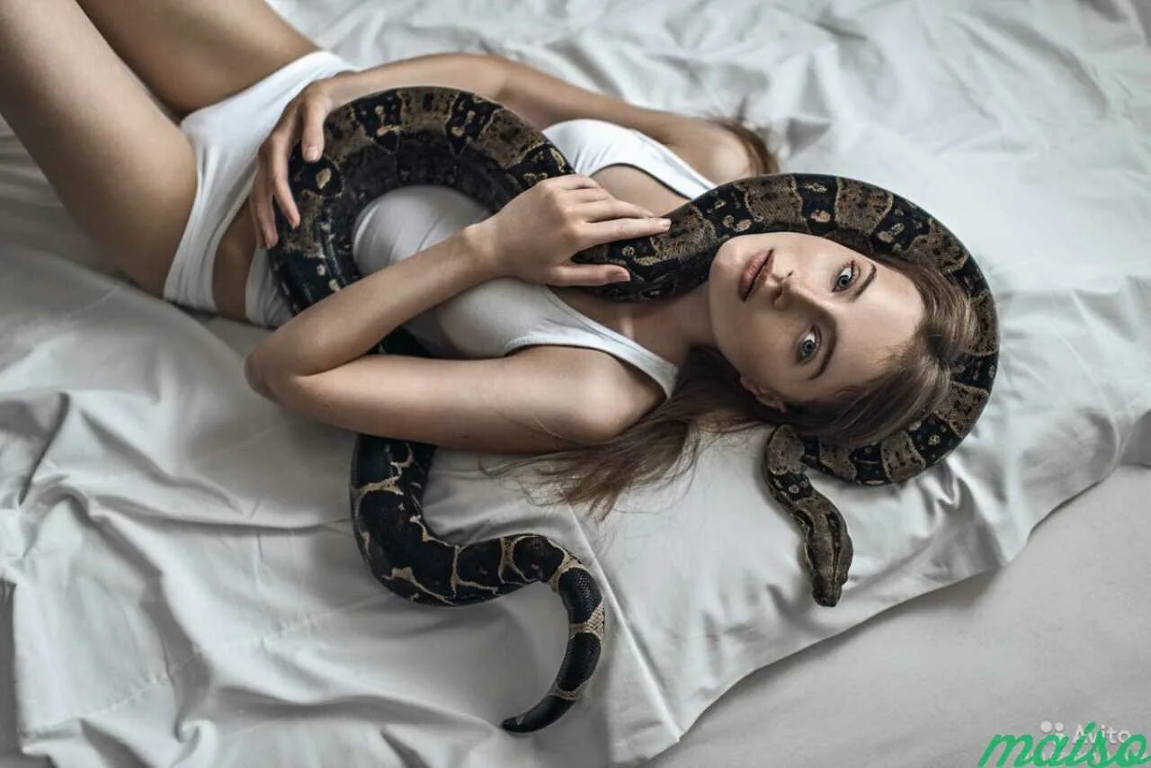 Женщина змея видео. Красивая девушка со змеей. Фотосессия со змеями. Фотосессия с удавом. Девушка с удавом.
