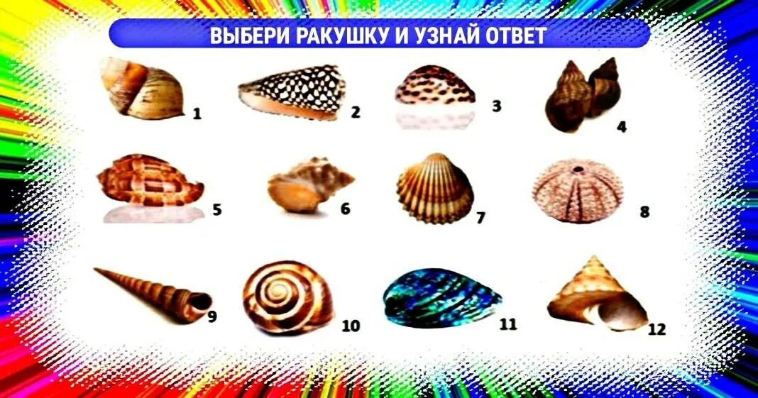тест ракушки психологический. тест с ракушками. тест ракушки. тест ракушки. ракушка раскрыта stl.