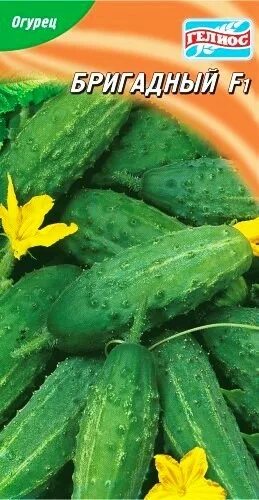 Черношипые сорта огурцов. Черношипые самоопыляемые огурцы. черношипые сорта огурцов для открытого грунта. черношипые сорта огурцов для засолки. черношипые сорта огурцов для открытого.
