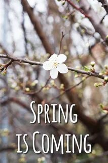 Coming march