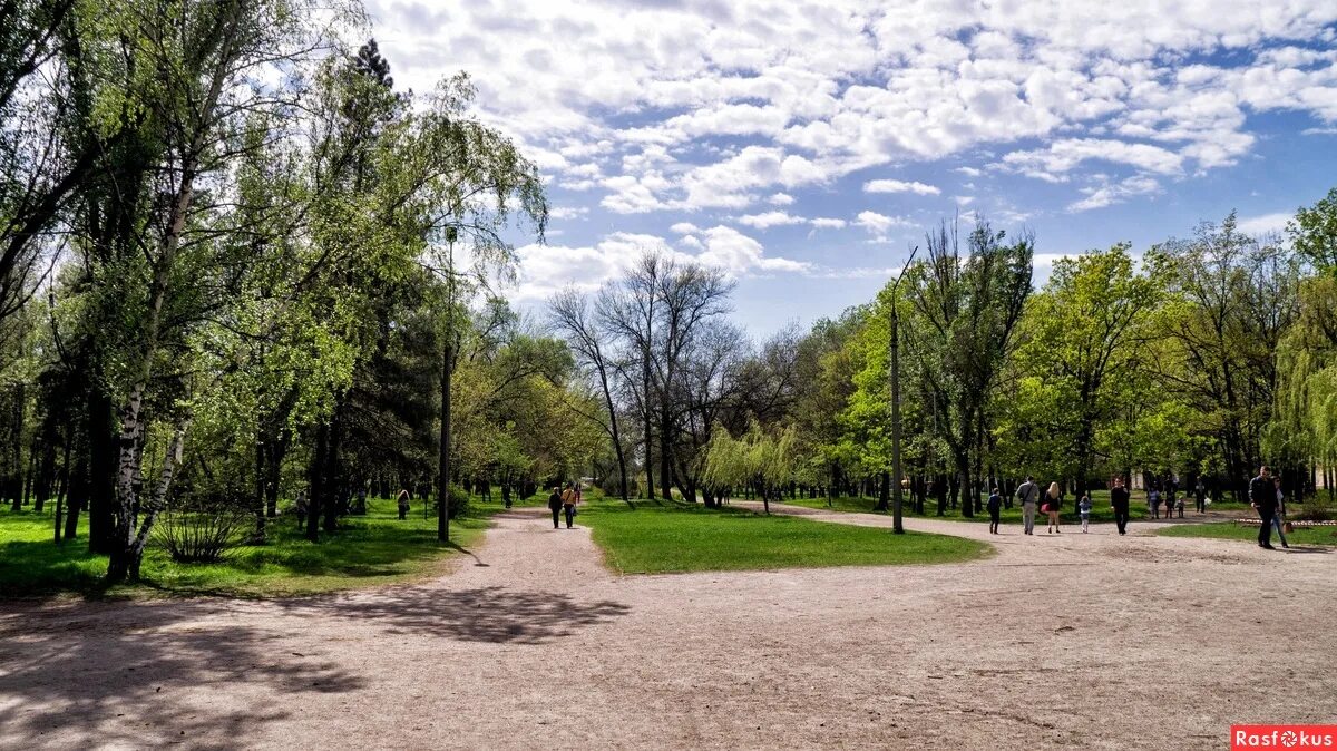 парк дубовая роща