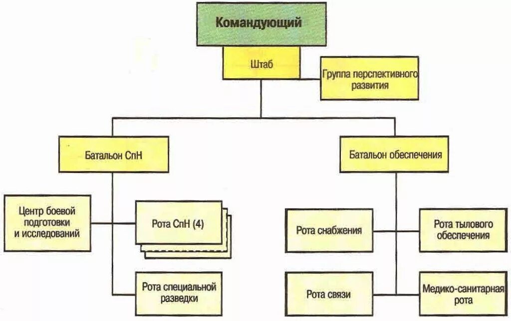 рота снабжения. мотопехотная дивизия фрг. состав армейского корпуса. организация мотопехотного батальона фрг. организационно штатная структура батальона сша.