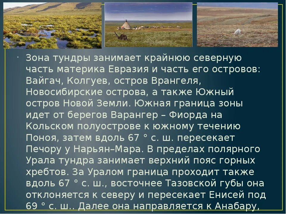 Тундра между природными зонами. Природная зона тундра 4 класс окружающий мир. Доклад о тундре. Сообщение о тундре. Описание тундры.