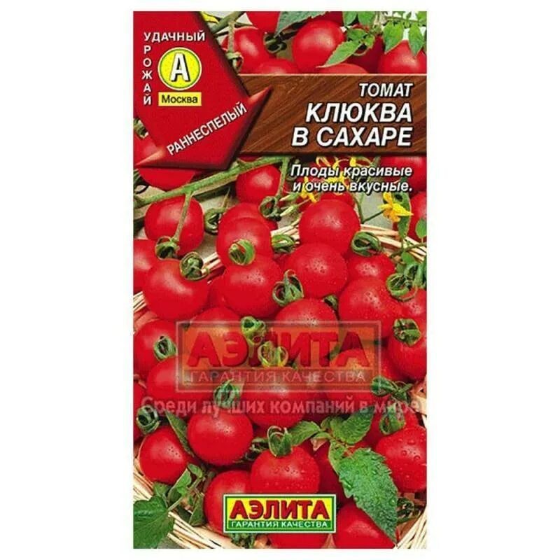 Томаты кнопка описание сорта фото. Семена томат клюква в сахаре. Томаты черри клюква в сахаре.