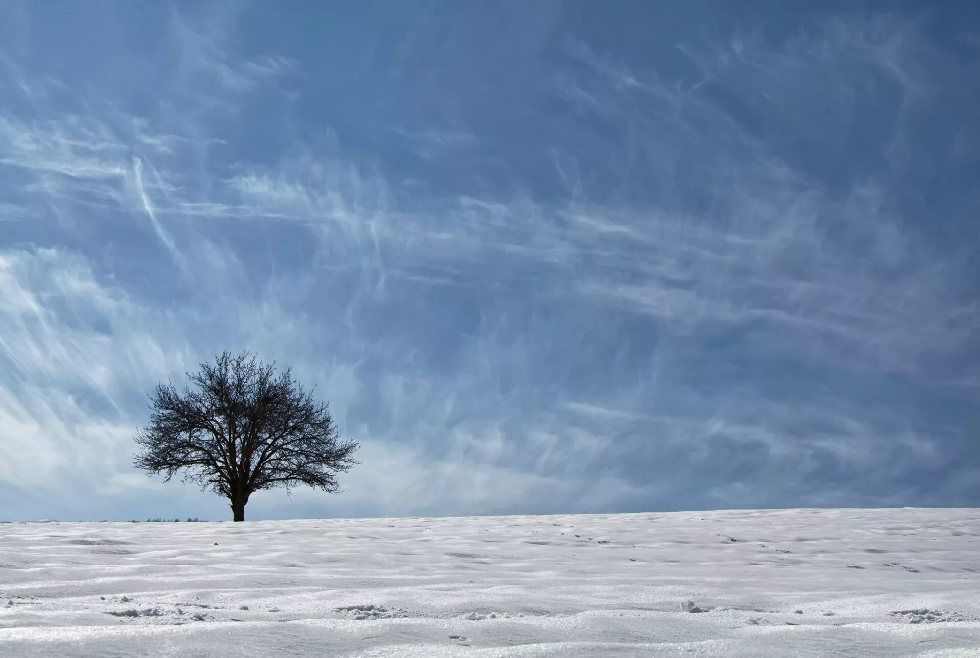 Snow sky