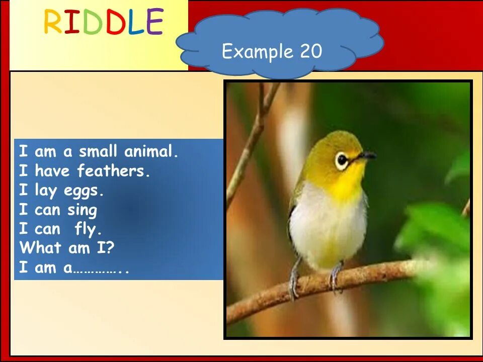I a bird перевод. Riddles about Birds. The Riddle. Riddle Translate. Riddle about Frog.