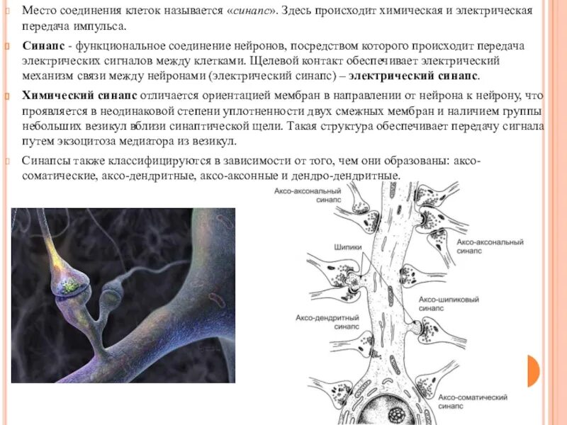 Соединение синапсов