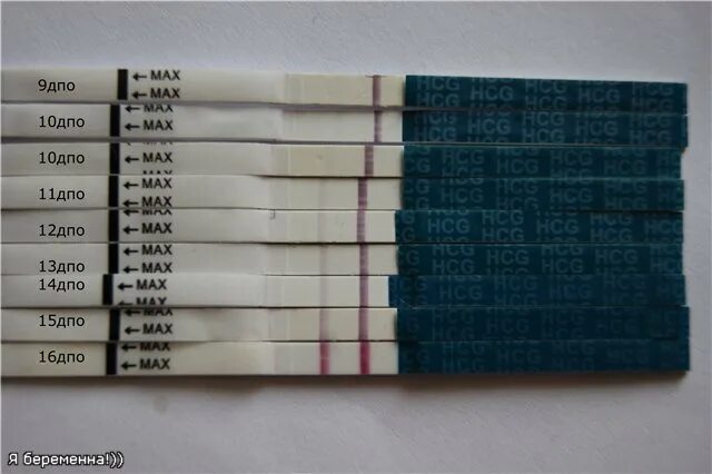 9 ДПО тест на беременность. Тест на беременность на 9 день после овуляции. 10 ДПО эвитест динамика. Эви тест на 9 ДПО.