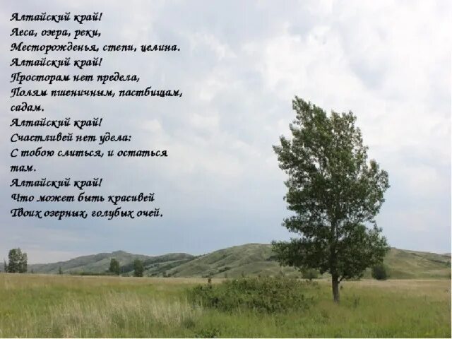 Алтайские поэты о природе. Стихотворение на алтайском. Алтай стихи. Стихи на алтайском языке. Алтай стихи.