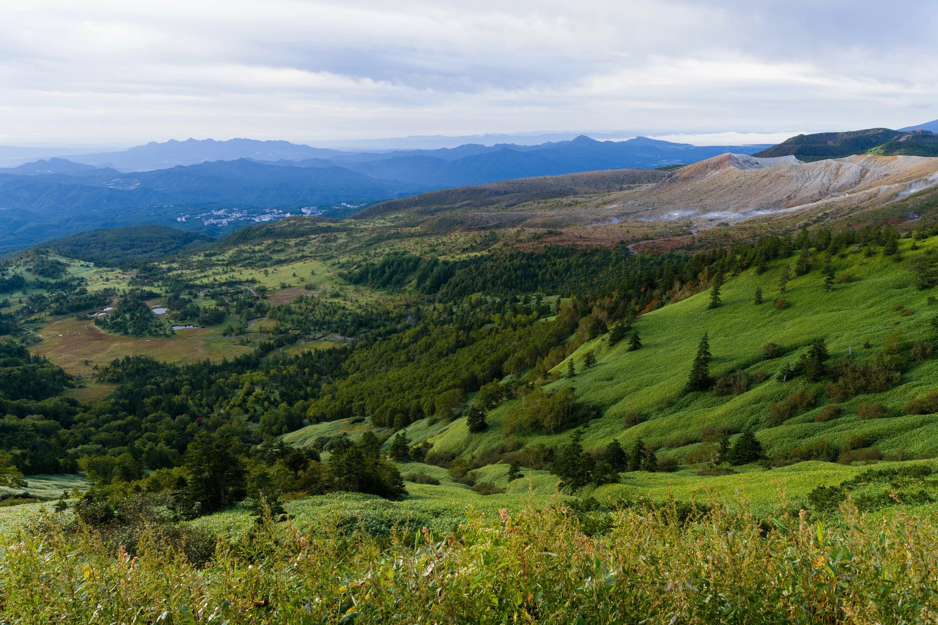 Forest hill. Пейзаж. Лес горы. Зелёные холмы гринфилд. Forest hill.