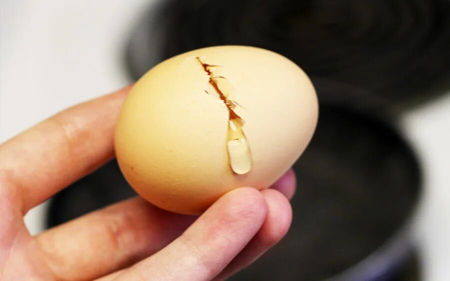 Egg выпадение. Анимированное яйцо. Самое популярное яйцо. Яйцо крутится. Самое популярное яйцо.