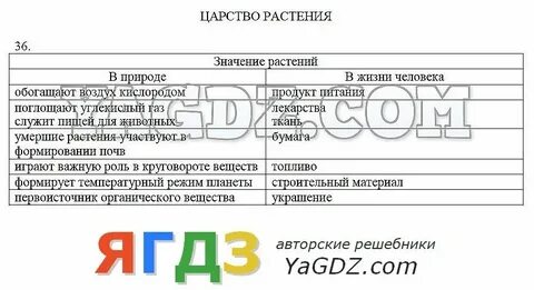 Биология 6 класс тетрадь пасечник 2023