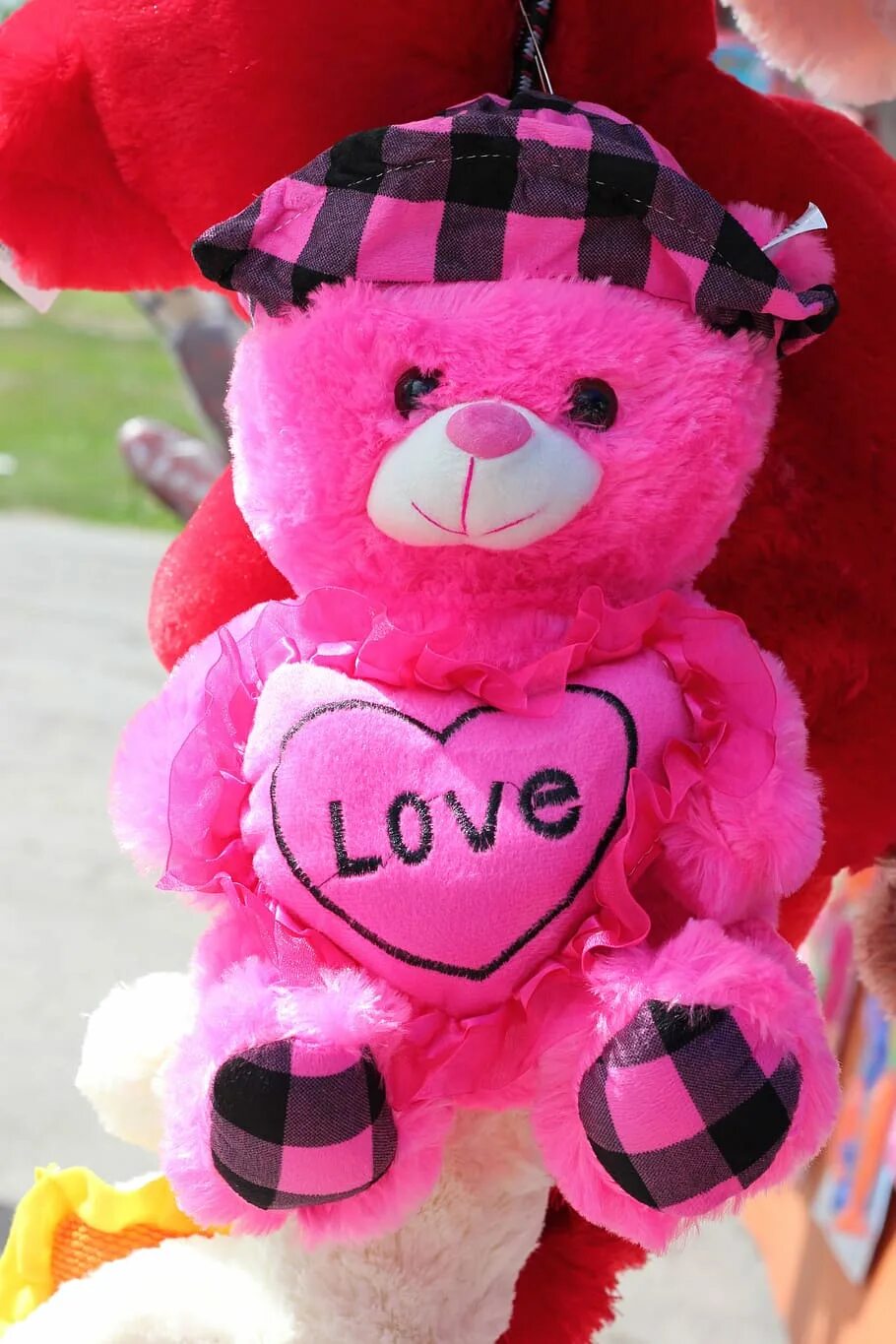 Teddy bear colors