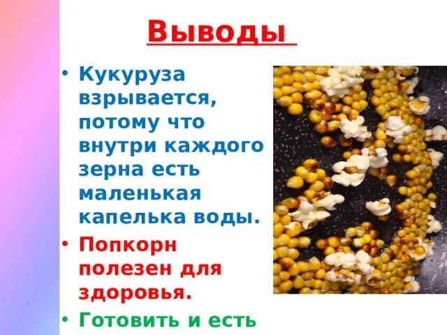 Почему взрывается попкорн. Вывод кукурузы. презентация день попкорна. почему взрывается попкорн исследовательская работа.