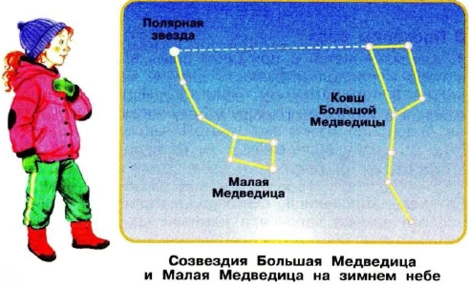 Ковш большой и малой медведицы зимой осенью. Созвездие ковш большой медведицы осенью. Большая Медведица зимой и осенью расположение ковша. Созвездия большой и малой медведицы зимой, осенью и весной. Ковш большой медведицы весной