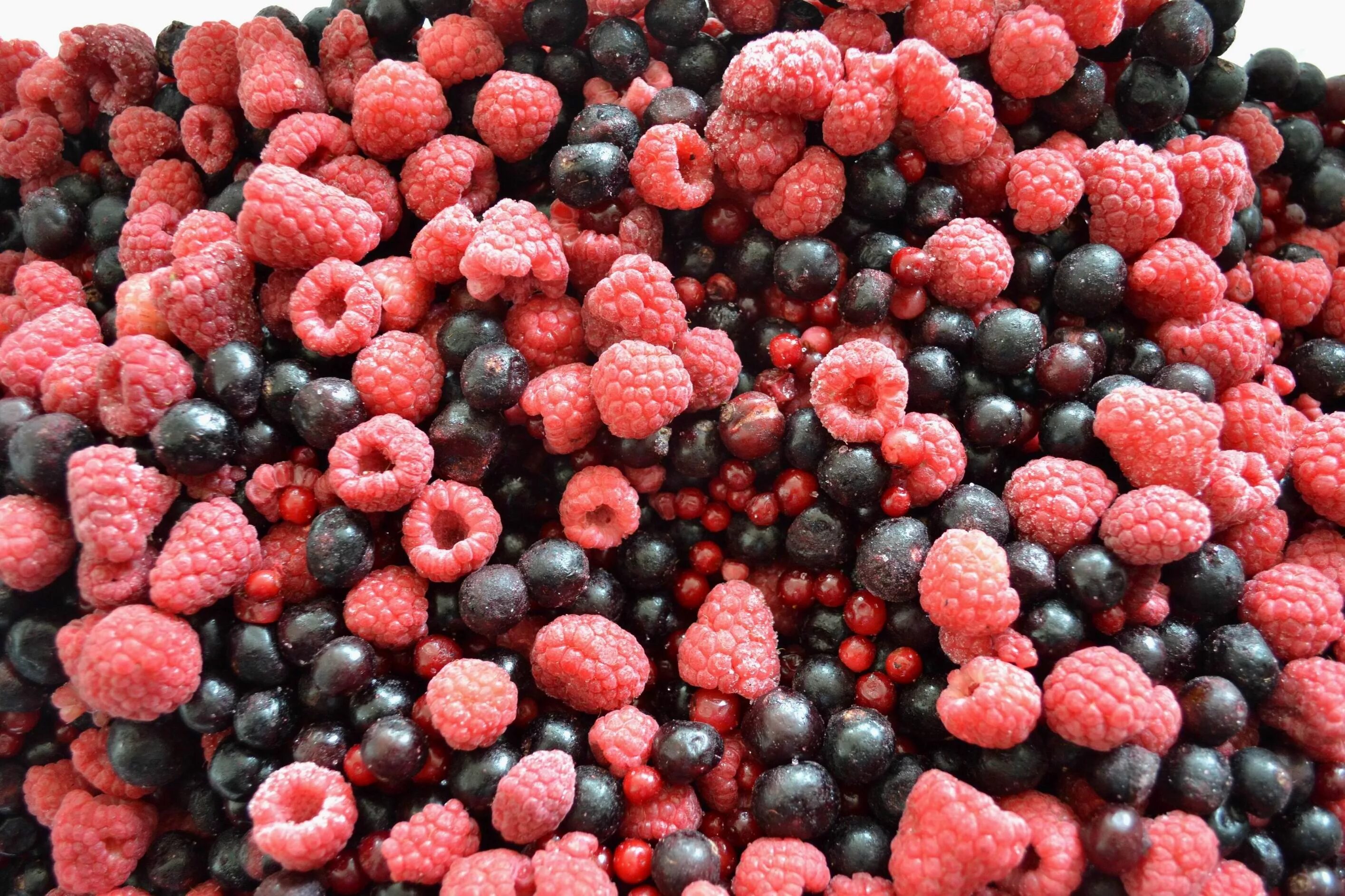 Shift berry mix