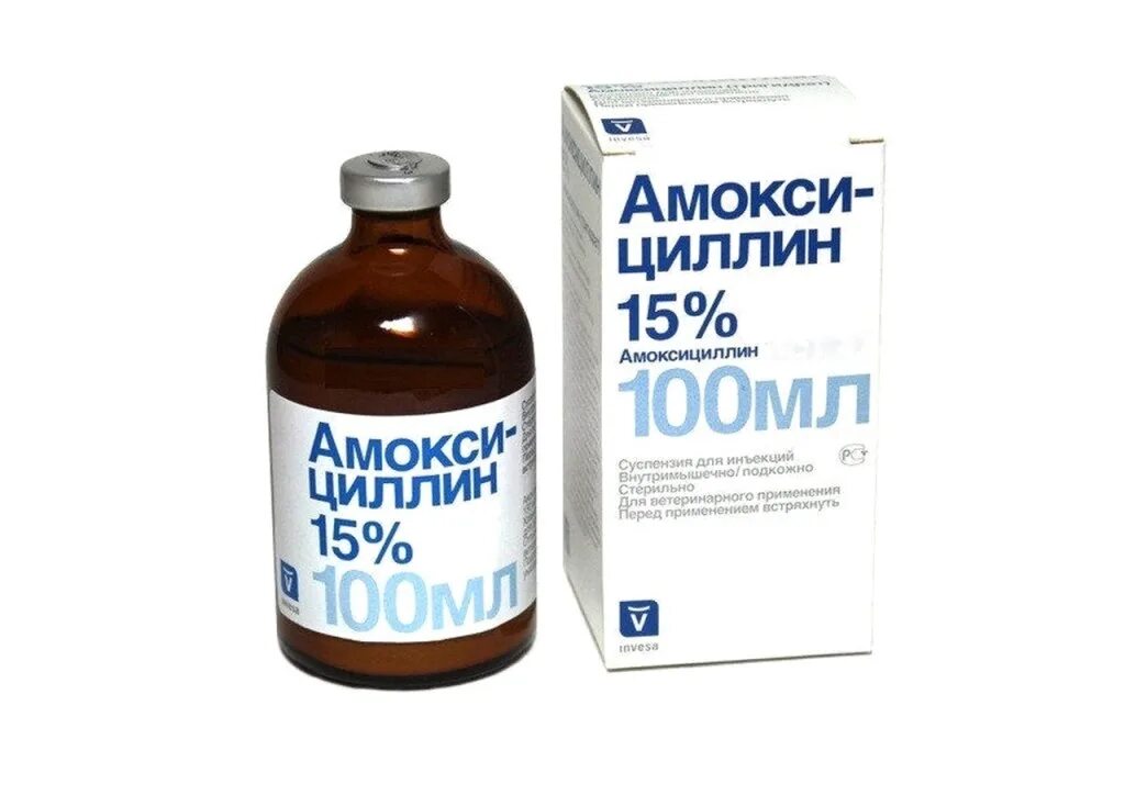 Амоксициллин для чего он. Амоксициллин 15% 100мл инвеса. амоксициллин 15% 10 мл invesa. антибиотик внутримышечно амоксициллин. ветеринарный антибиотик амоксициллин.