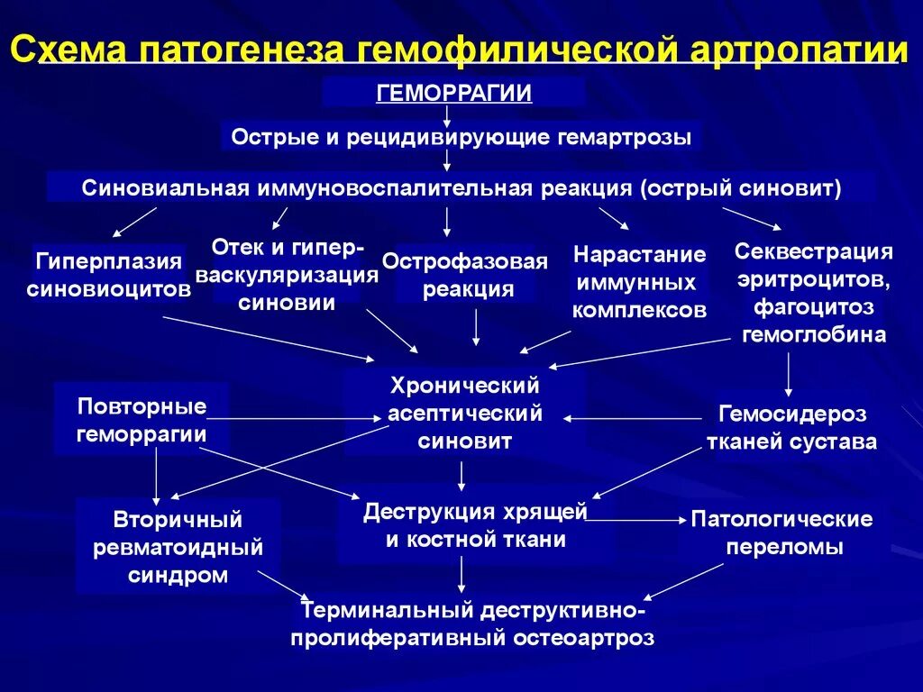 Гемофилия патогенез схема. Гемофилия этиология патогенез. Механизм развития гемофилии. Заболевание и схема гемофилии