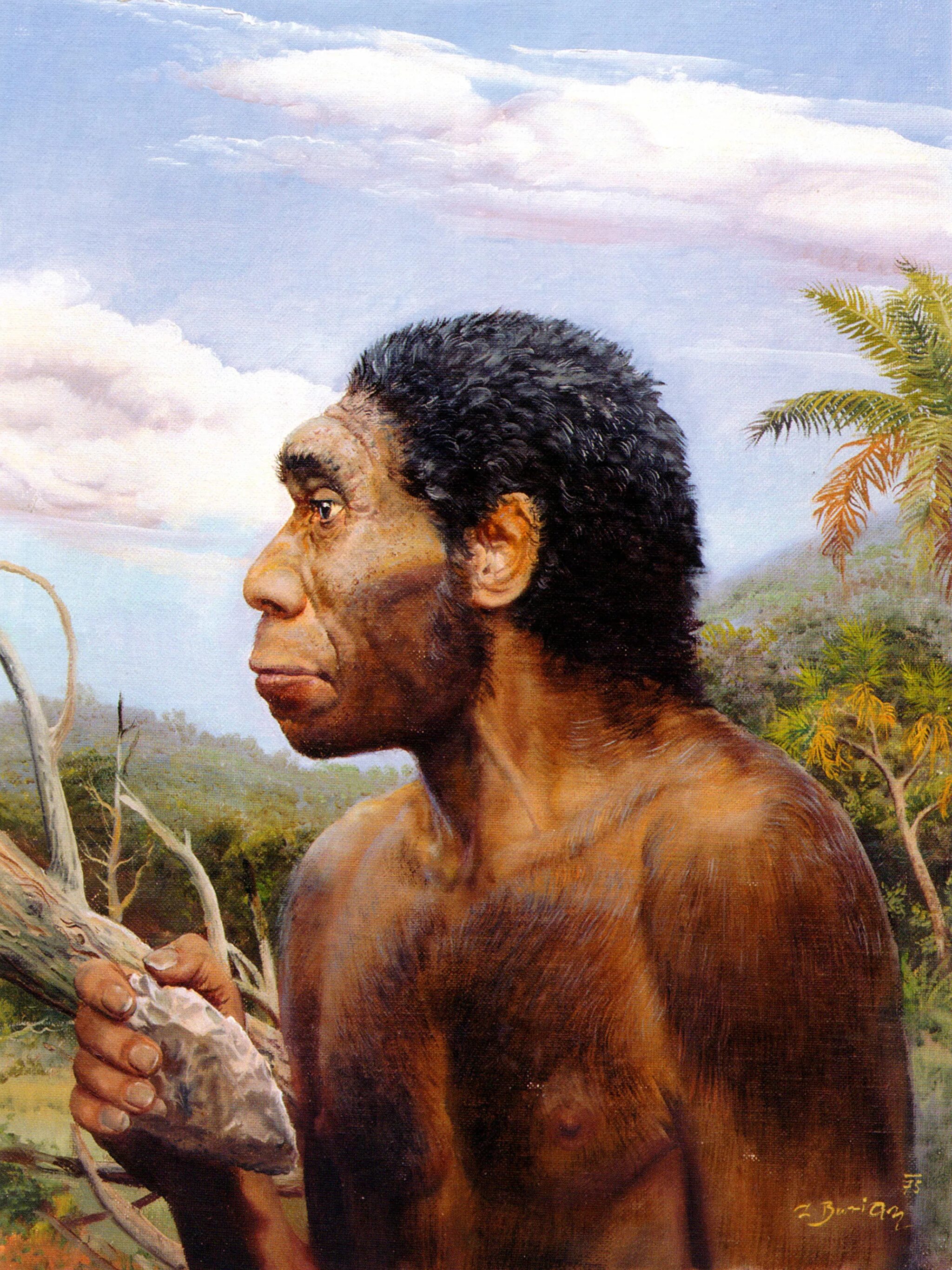 Архантропы (homo Erectus). Зденек Буриан неандерталец. Человек прямоходящий homo Erectus. Зденек Буриан каннибалы.