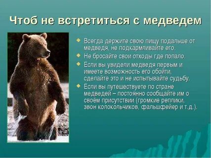 К чему снится бурый медведь женщине незамужней