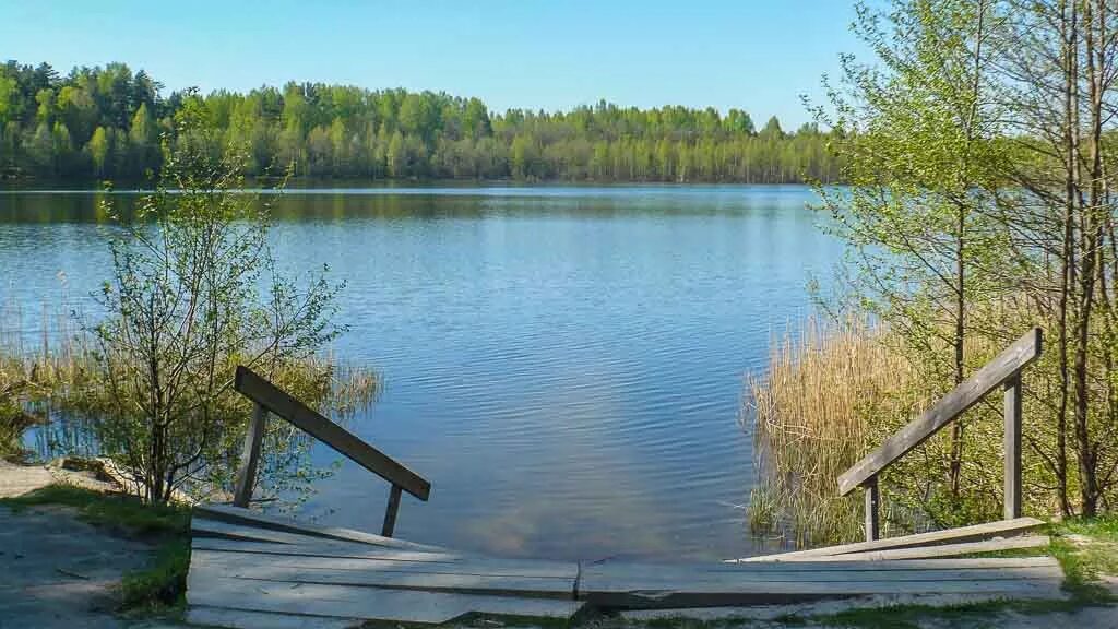 Село владимирское озеро светлояр. Село владимирское озеро светлояр. Светлояр нижегородская область. Озеро светлояр. Владимирское нижегородская область светлояр.