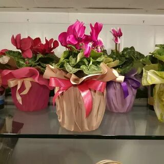 Mix present