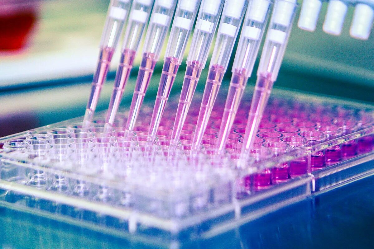 Пцр лаб. Пцр лаб. Пцр тестирование. Лабораторные исследования пцр ковид. Пробирки медицина.