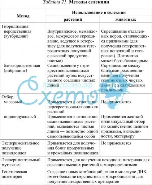 Достижения мировой и отечественной селекции таблица. Методы селекции таблица. метод селекции таблица. методы современной селекции таблица. методы селекционно генетической работы мичурина таблица.