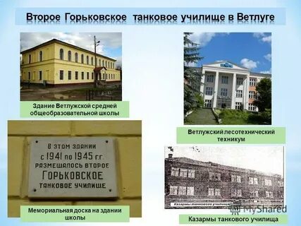 Лесотехнический колледж воронеж после 9 класса